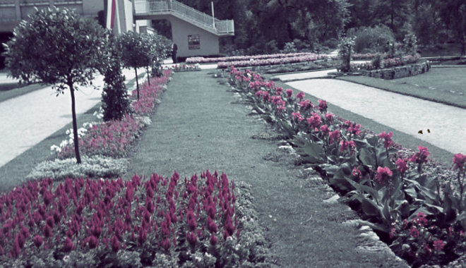 A külföldi kiállítókat is vonzották a régi Városliget virágpavilonjai