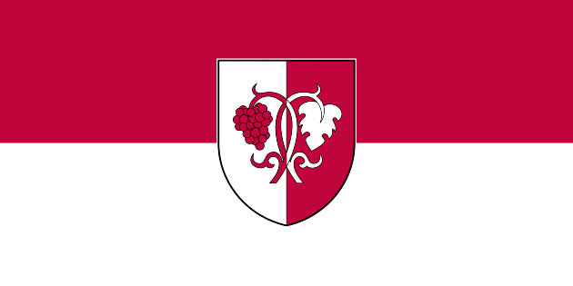 Helvécia község zászlaja