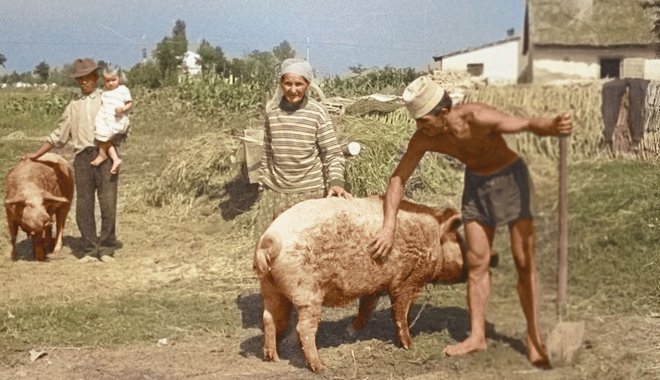 A háztáji gazdálkodás kialakulása és szerepe