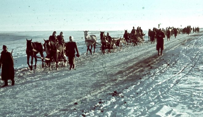 Don-kanyar 80: fejezetek egy szemtanú naplójából XVI.