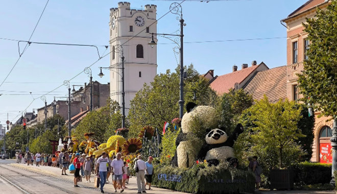 Idén is lenyűgöző kompozíciókkal készültek a Debreceni Virágkarneválra