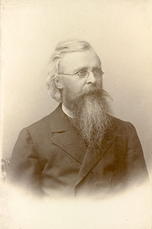 Schulek Frigyes