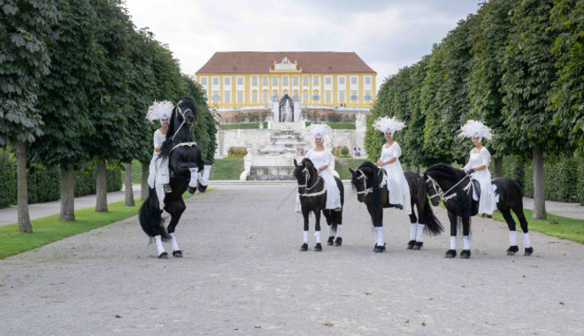 Lovas fesztivállal és sárkányeregetéssel is várja a látogatókat a Schloss Hof kastély