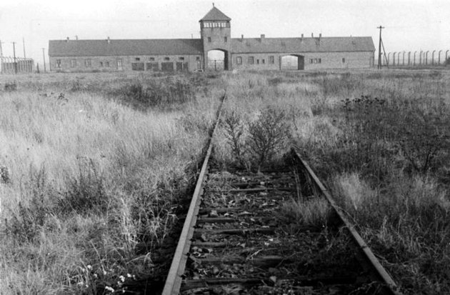 Sínek Auschwitz főkapuja felé