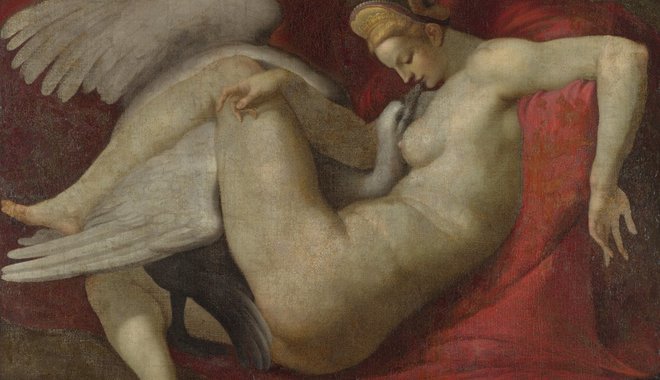Michelangelo huncut hattyúja