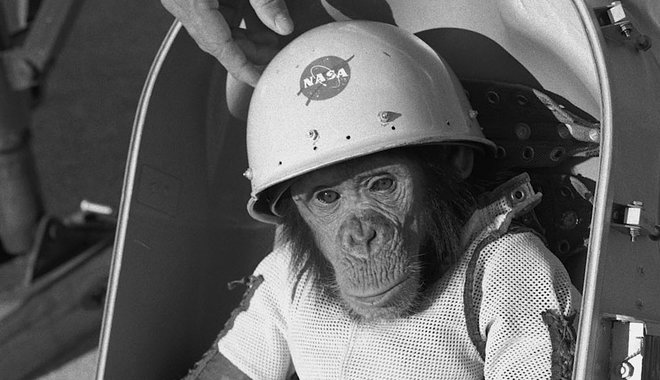 Majdnem a tengerbe fulladt, de végül túlélte az űrugrást az első űrcsimpánz
