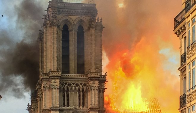 Ezer tölgyből épülhet újjá a Notre-Dame-székesegyház