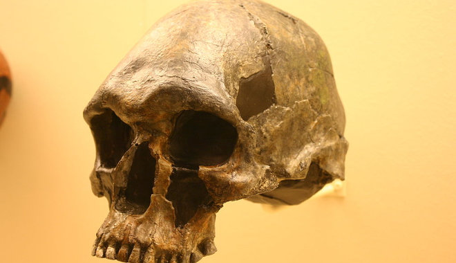 Végső nyugalomra helyezik az Ausztráliában talált ősi emberi maradványokat