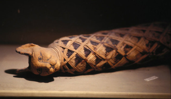 Bebalzsamozott kedvencek: állatmúmiák az ókori Egyiptomban