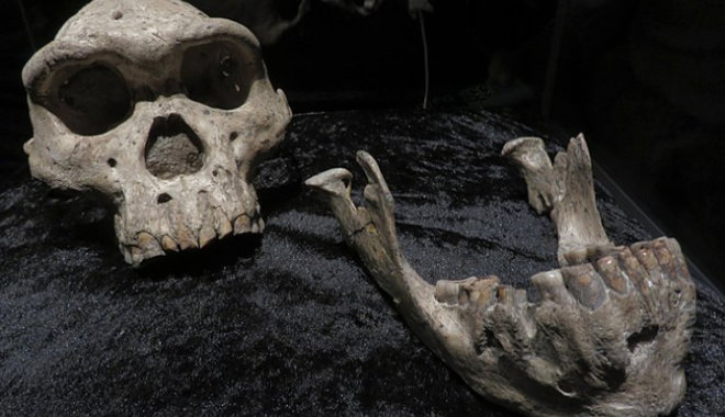 Csaknem kétmillió éves emberi fogra bukkantak egy kaukázusi ásatáson