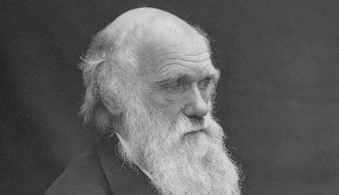 Ritka Darwin-kéziratot árvereznek el New Yorkban