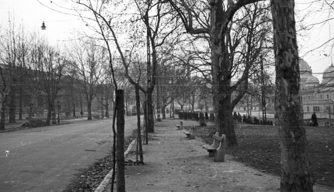„Parancsoló bátorsággal és méltósággal” – az 1956-os budapesti nőtüntetés