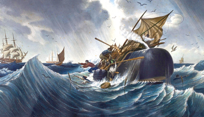 „Bezúzott minket egy bálna!” – az Essex hajó katasztrófája