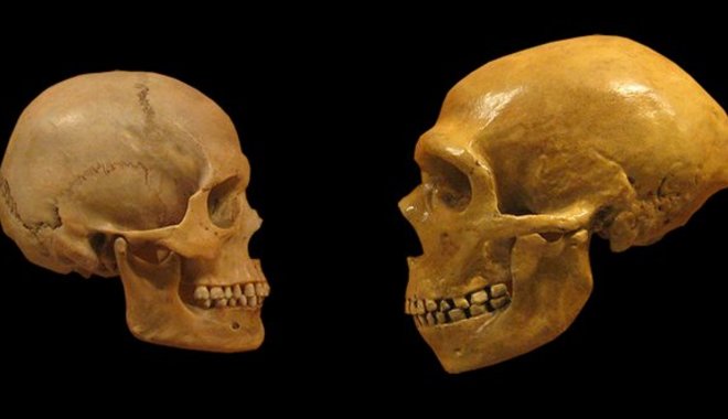 Kirándulók találtak egy ősi emberi koponyadarabot a kiszáradó Pó medrében