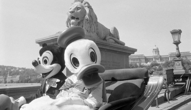 Még hollywoodi csillagot is kapott a Disney legnépszerűbb kacsája