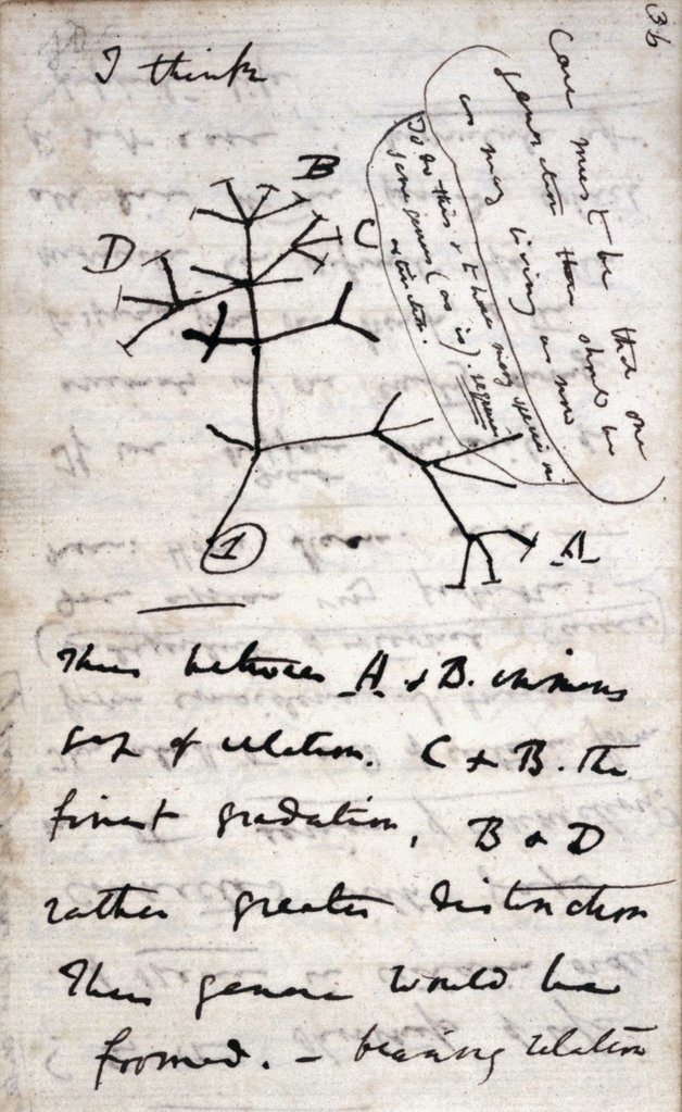 A most visszakerült naplók egyik oldala, az „Élet Fájának” 1837-es rajzával