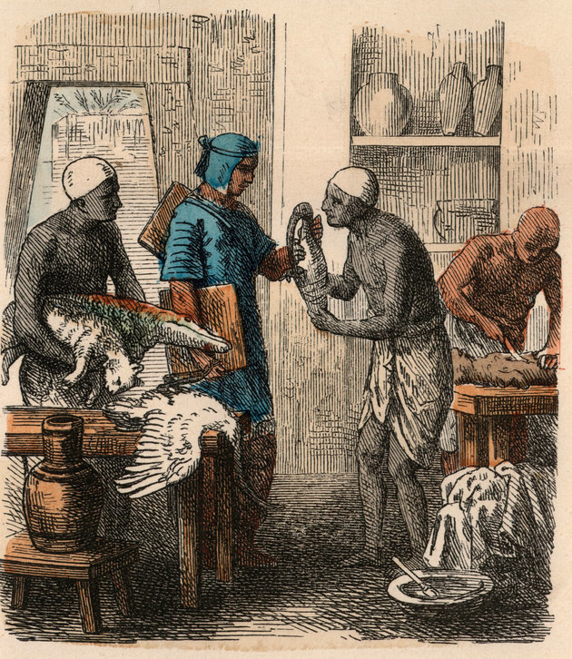 Állatbalzsamozás. Heinrich Leutemann színezett metszete