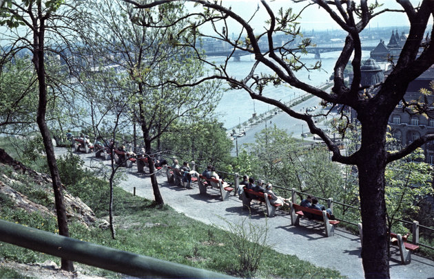 Napfürdőzők kora tavasszal a Gellért-hegyen, 1964. (Fortepan / Nagy Gyula)