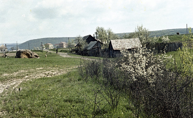 Tavaszi ébredés a csehszlovákiai Poltár városának határában,1961. (Fortepan / Zsanda Zsolt)