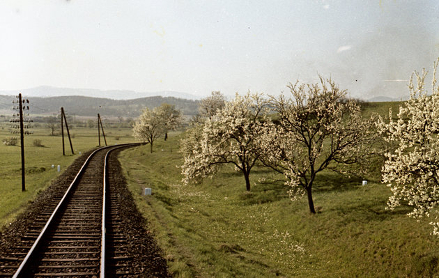 Losonc-Utekáč (Újantalvölgy) vasútvonal szakasza a csehszlovákiai Poltár előtt, 1959. (Fortepan / Zsanda Zsolt)