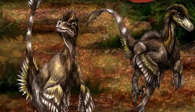 A magyar dinoszaurusz-kutatás történetéről nyílik kiállítás Békéscsabán