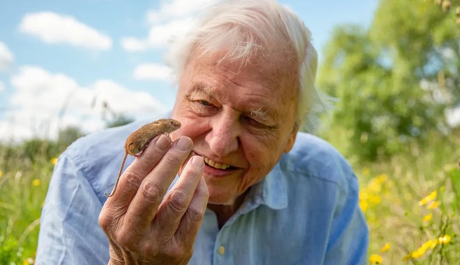 Századik születésnapját ünnepli Sir David Attenborough