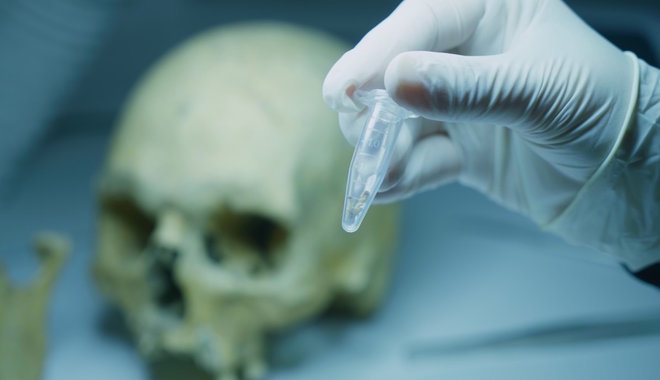 Genetikailag is elemezték az Akasztónál talált honfoglaló harcosokat