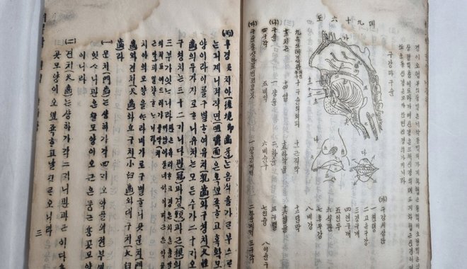 Kulturális örökséggé nyilváníthatnak egy 120 éves koreai anatómiatankönyvet