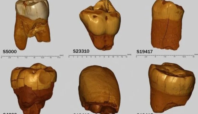Neandervölgyi migrációs központ volt az őskori Közép-Európa