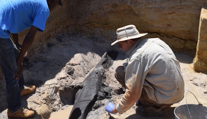A Homo sapiens megjelenése előtti faépítményt fedeztek fel Zambiában